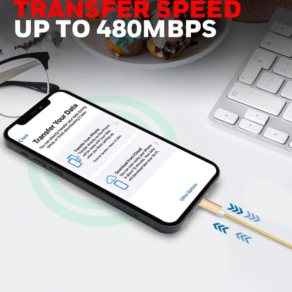 Apple Lightning Sync & Charge Cable 1.2 Mtr (Braided) - Gold